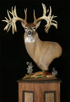 Murphy's Wildlife Art and Bronze