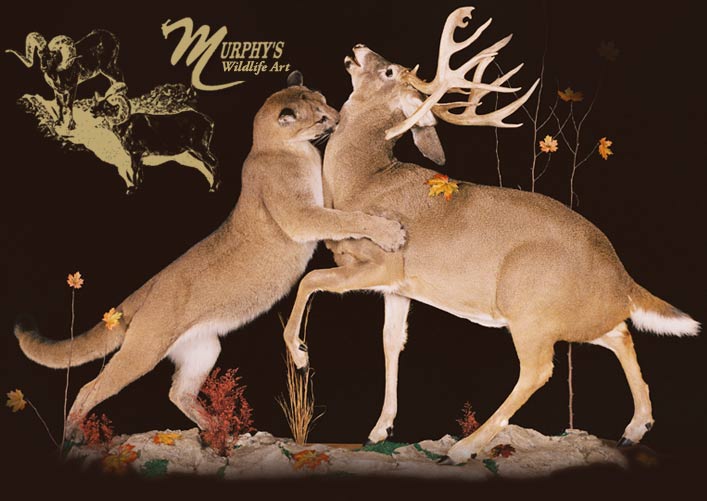 Murphy's Wildlife Art and Bronze